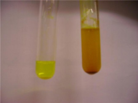 Mise en évidence du potassium